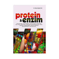 protein & enzim