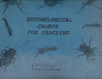 Entomological Charts For Teaching